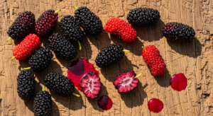 Mulberries: What Makes Them Special